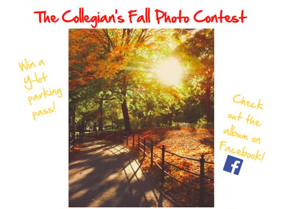 Submit your photos to collegianstories@gmail.com by Friday, Oct. 23 | Graphic by Lauren Gill. 