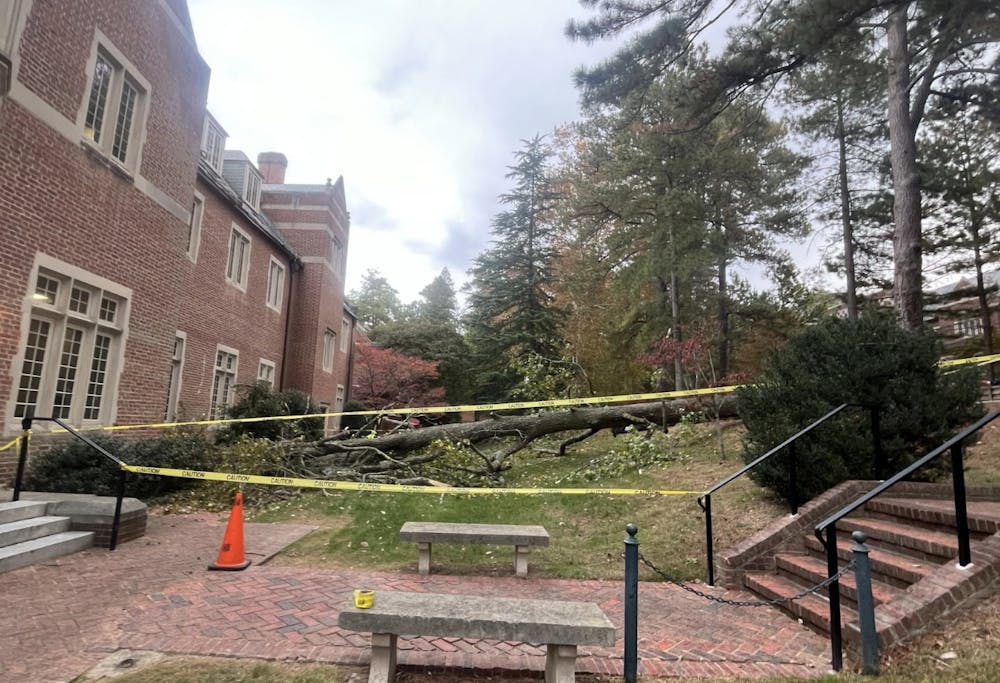 A tree fell in the courtyard between the University of Richmond Law School and Robins School of Business on Monday morning. 