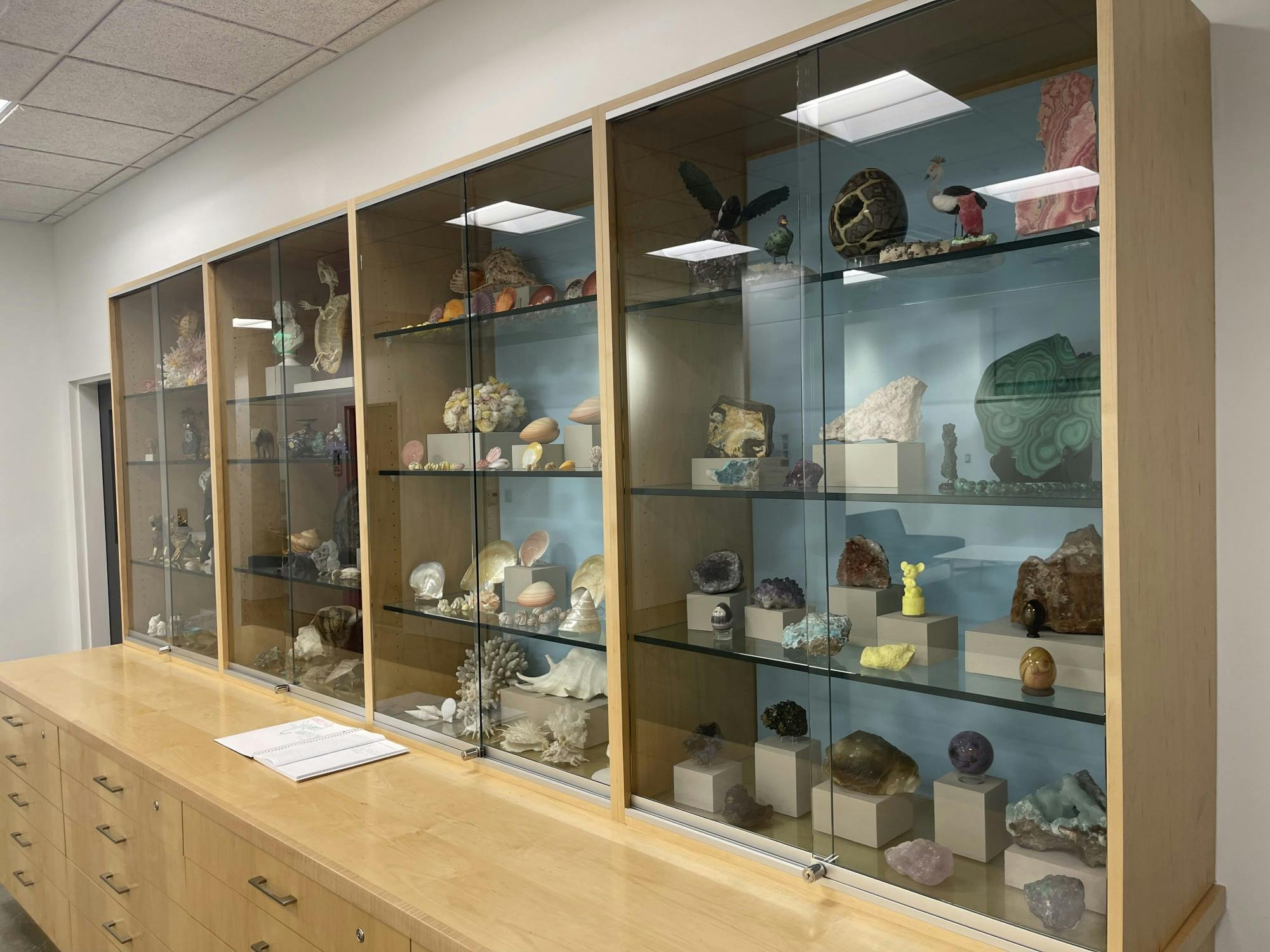 Cabinet of Curiosity exhibition.