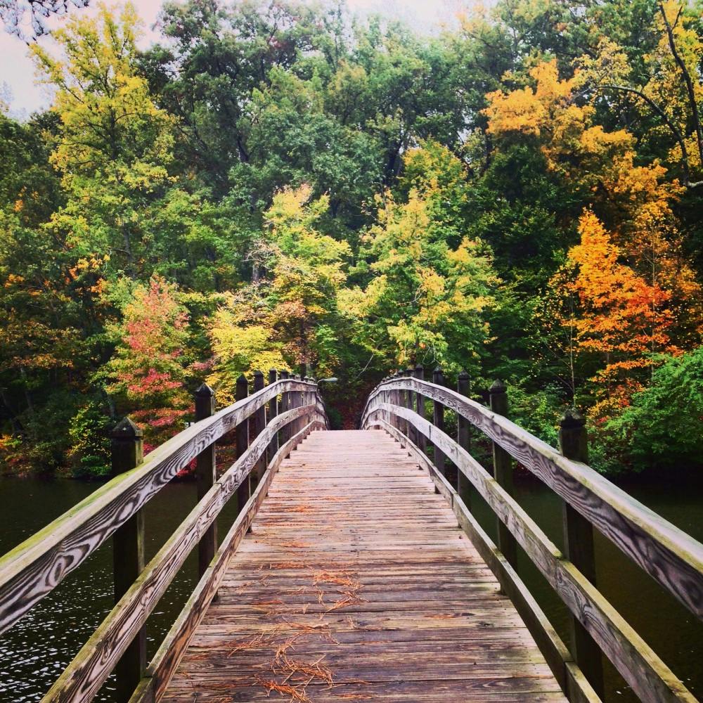 Photo by Lauren Gill