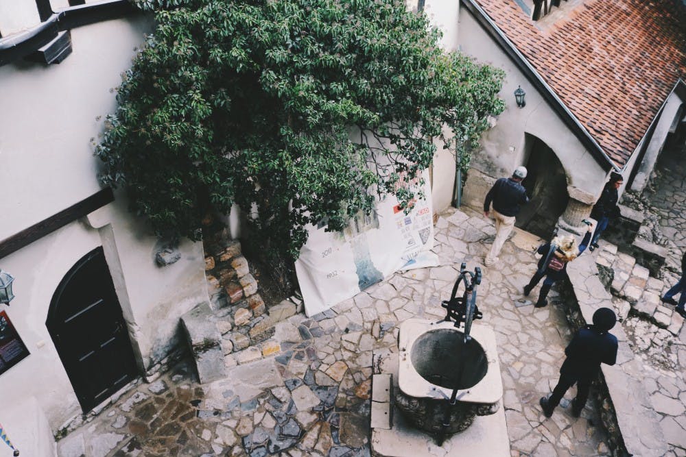 Processed with VSCO with f1 preset