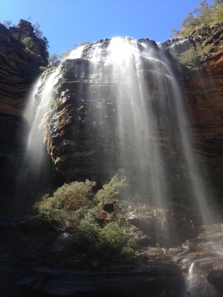 Compliments of Ellie Potter