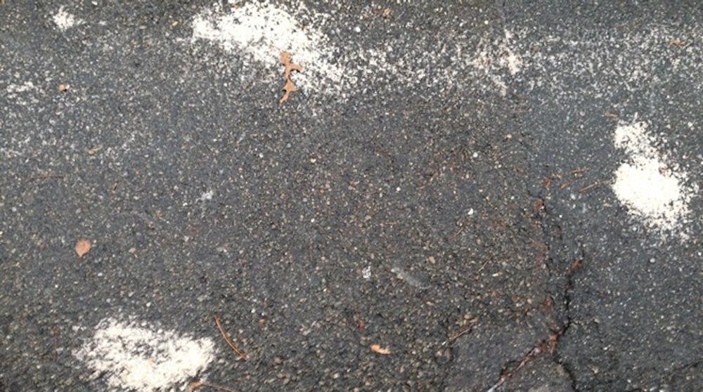 salt-photo-3