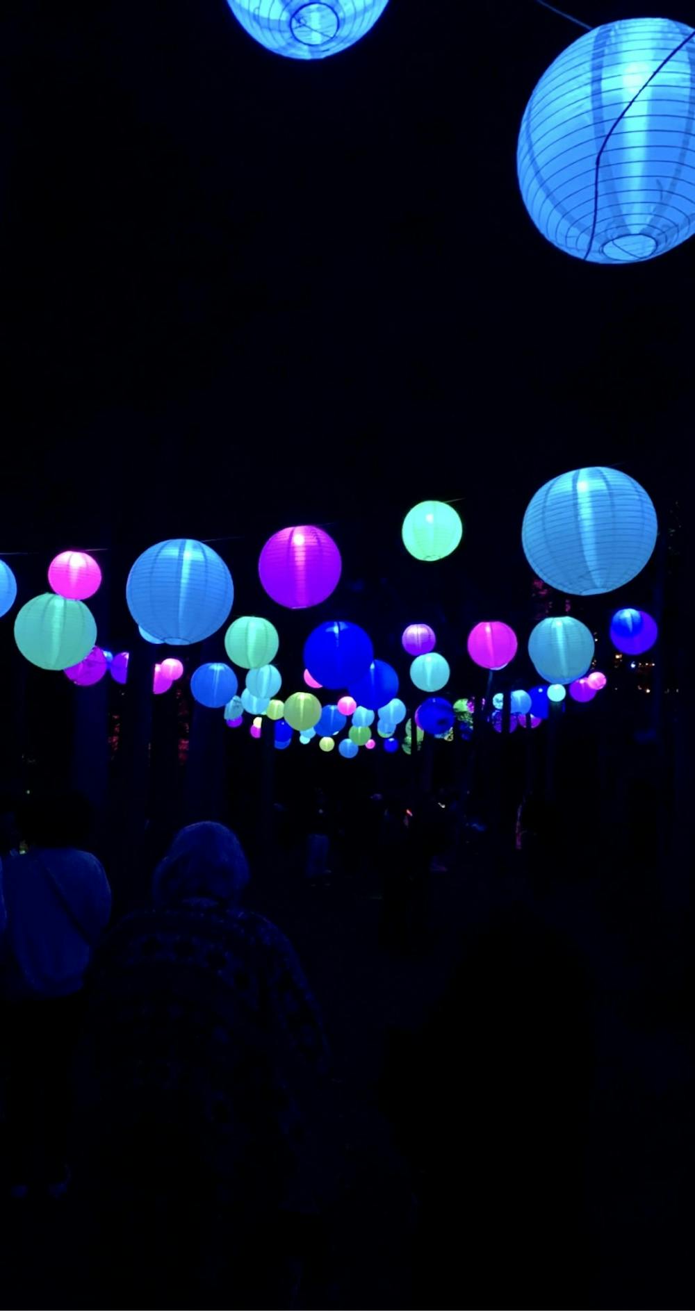 <p>Lanterns illuminate Maymont Park.&nbsp;</p>