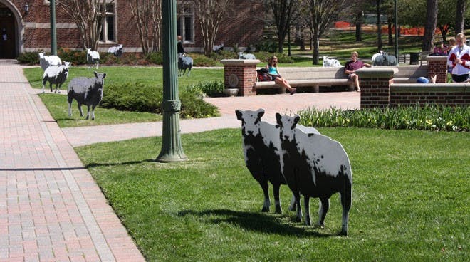 Sheep set up in Jepson Quad