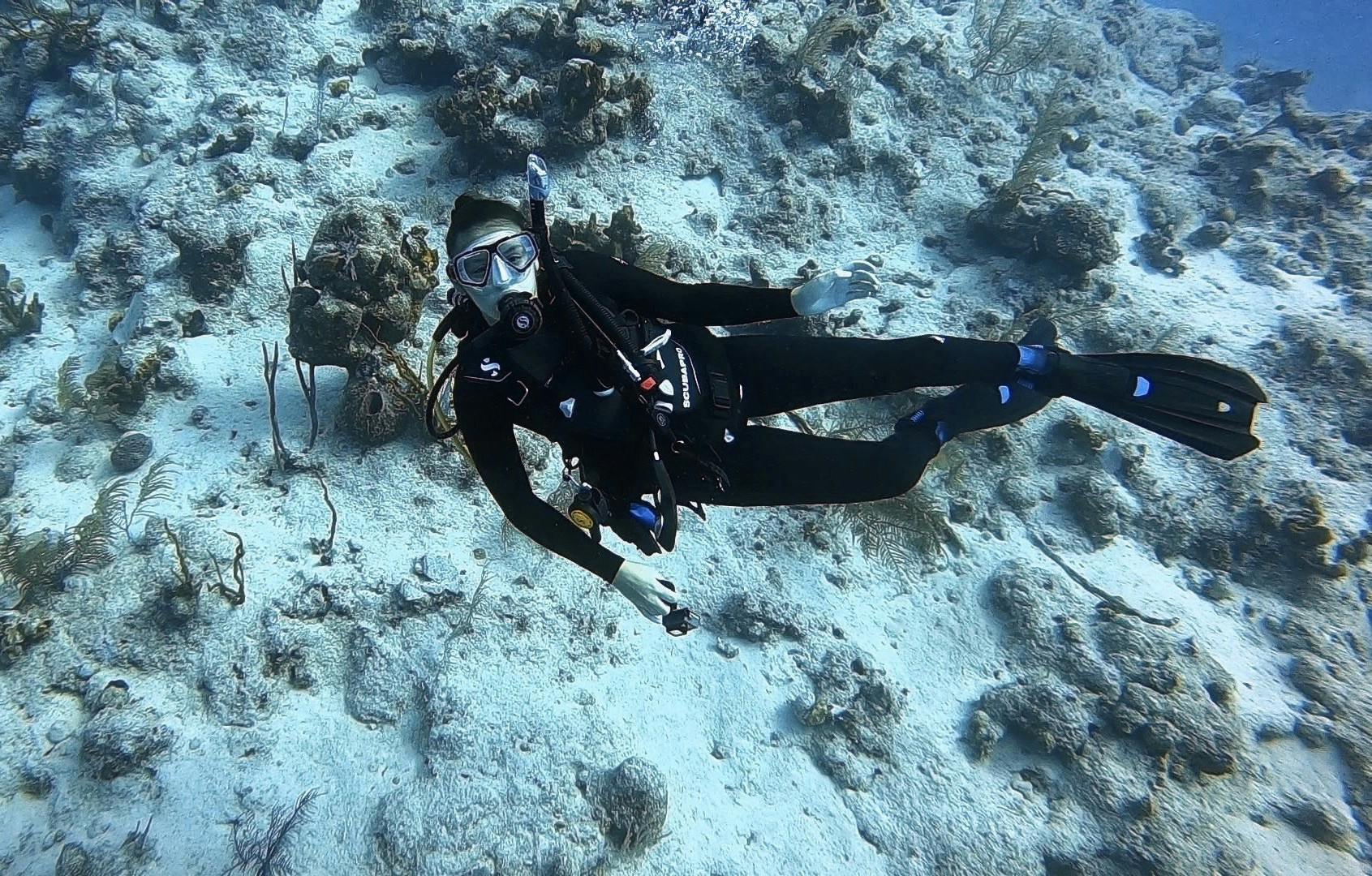 Taken December 7, 2022 at approximately 65 feet below the surface off the coast of South Caicos, TCI. Photo courtesy of Caitlin Fay.&nbsp;