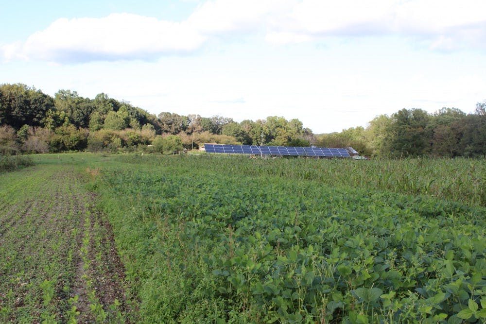 Solar panels on the Twin Oaks commune.&nbsp;