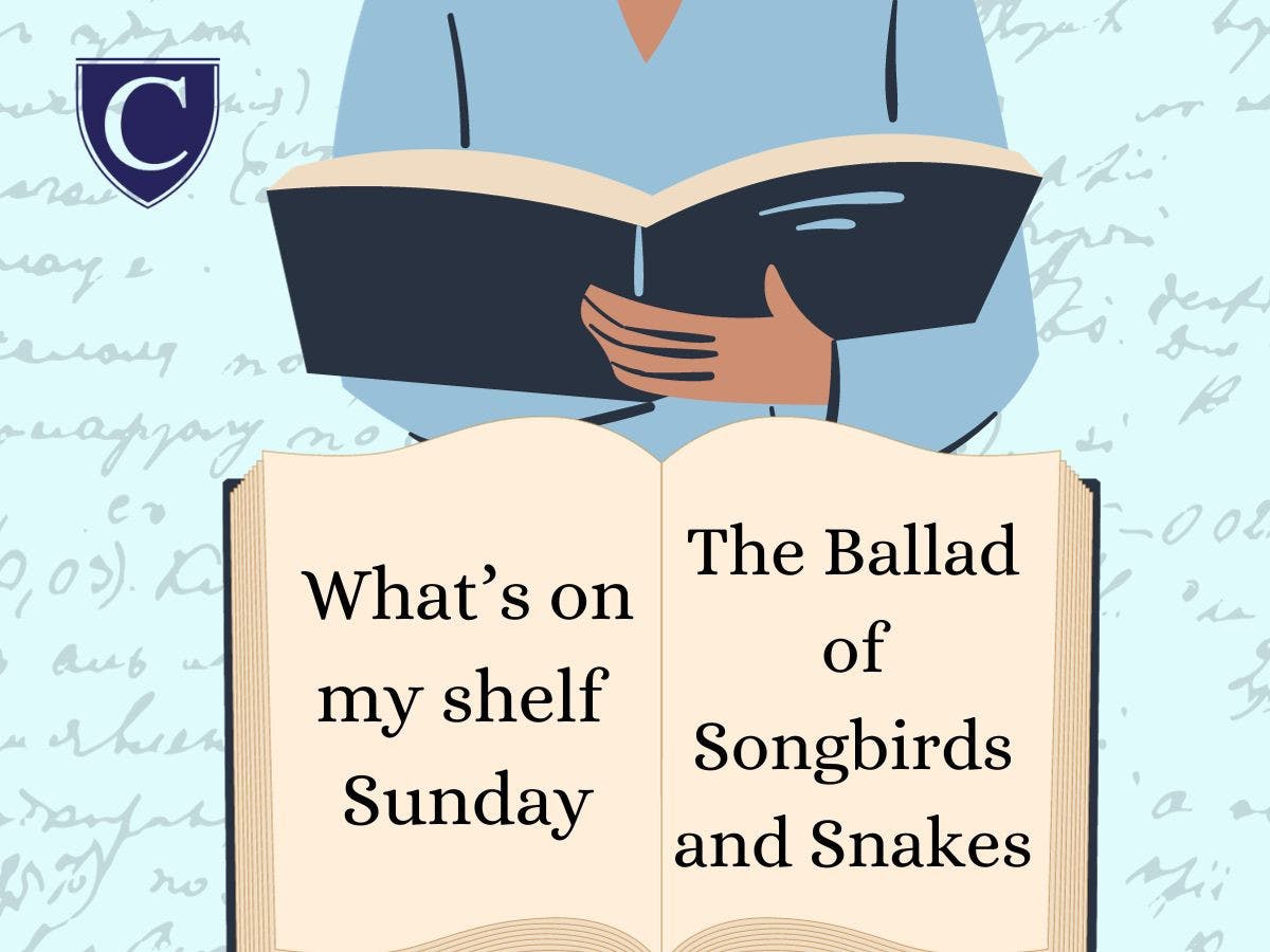 Graphic design by Lily Wood.&nbsp;