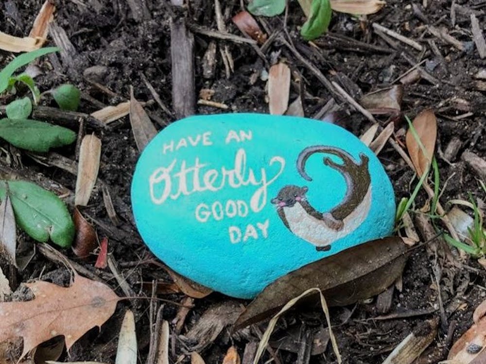 An anonymous student leaves her hand-painted "kindness rocks" around campus in order to spread positivity and happiness. Photo courtesy of anonymous artist.