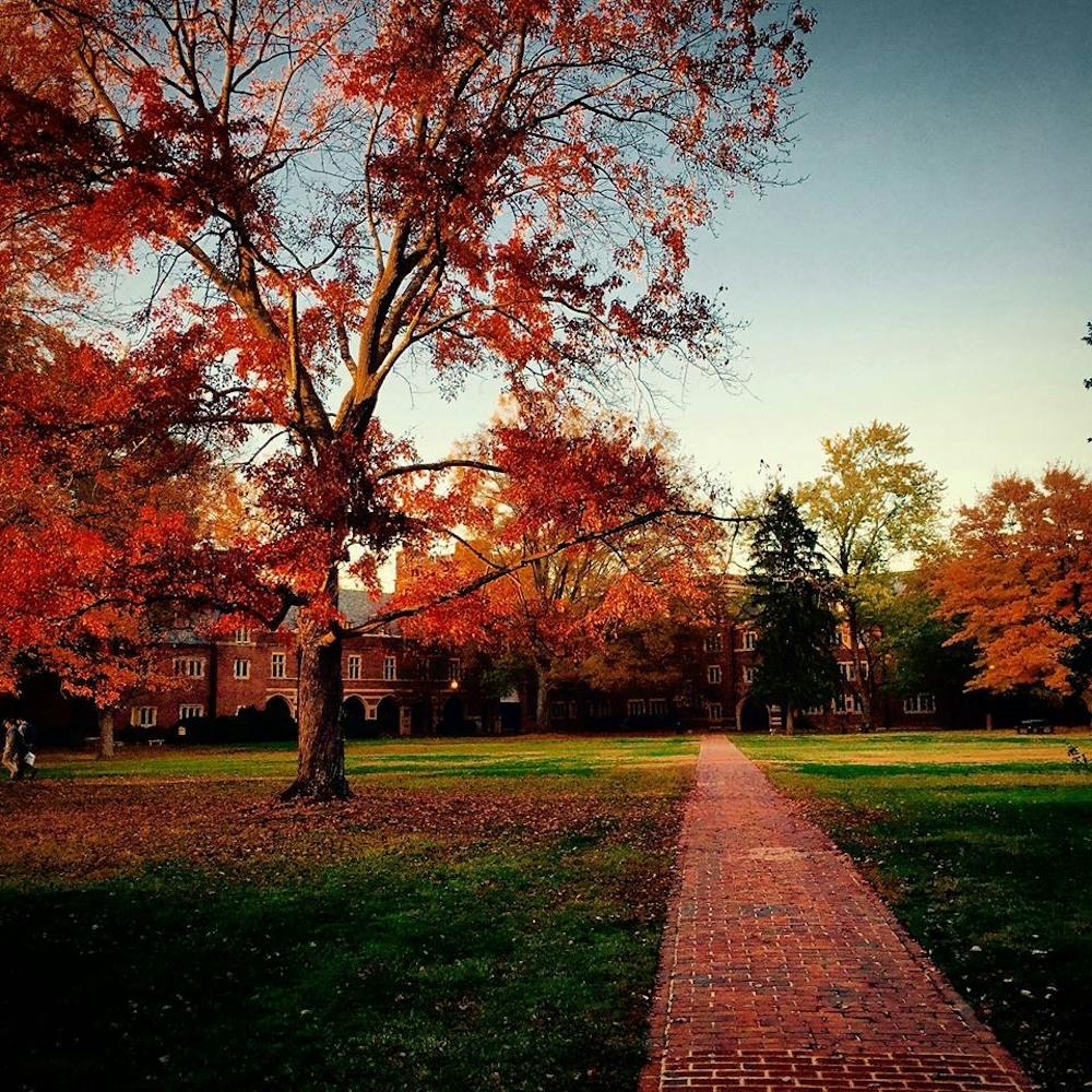 katie_tanner_fall