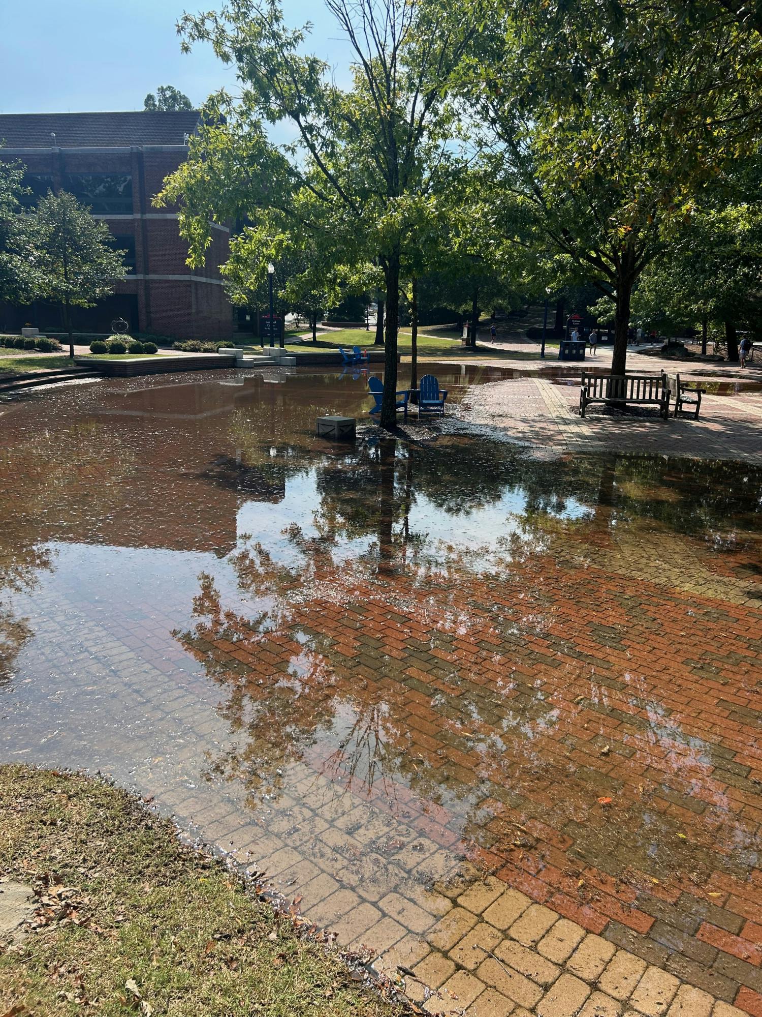 Flooding in the Forum in early September.