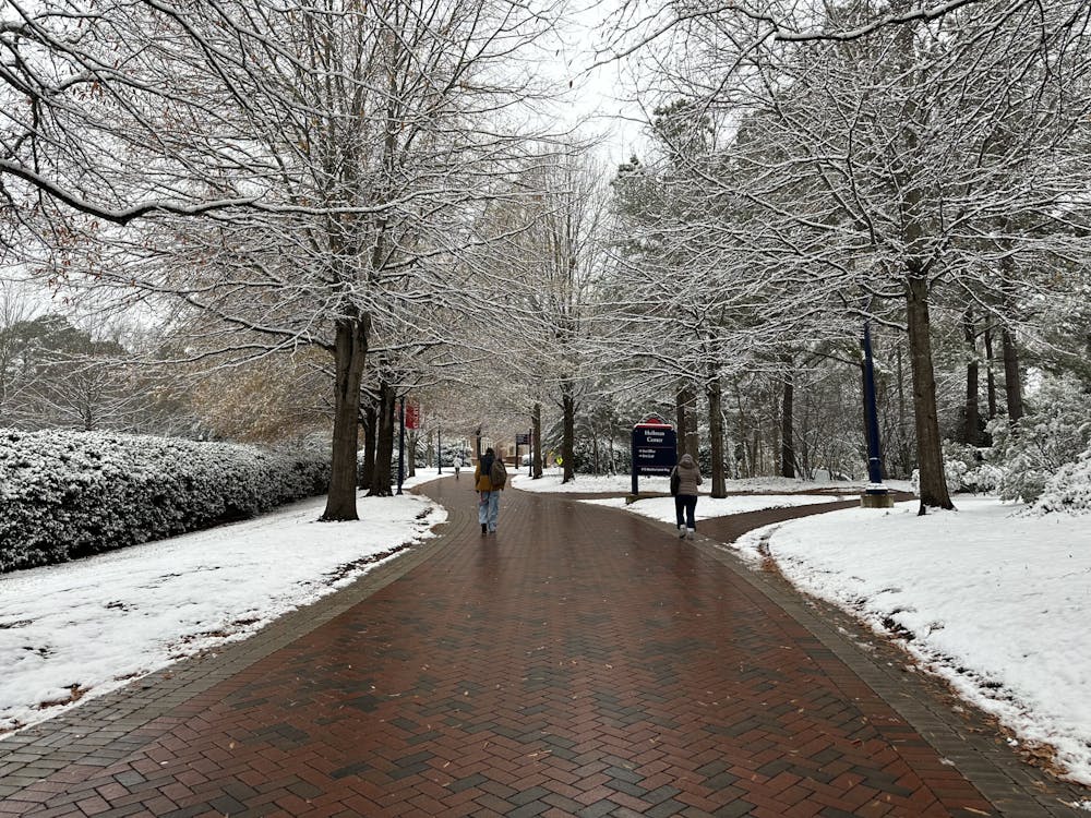 <p>"Mount Modlin," a hill between the Heilman Dining Center and the Modlin Center for the Arts, presents mobility challenges for some students and faculty.&nbsp;</p>