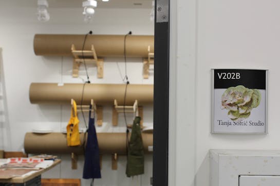Tanja Softić's studio 2025