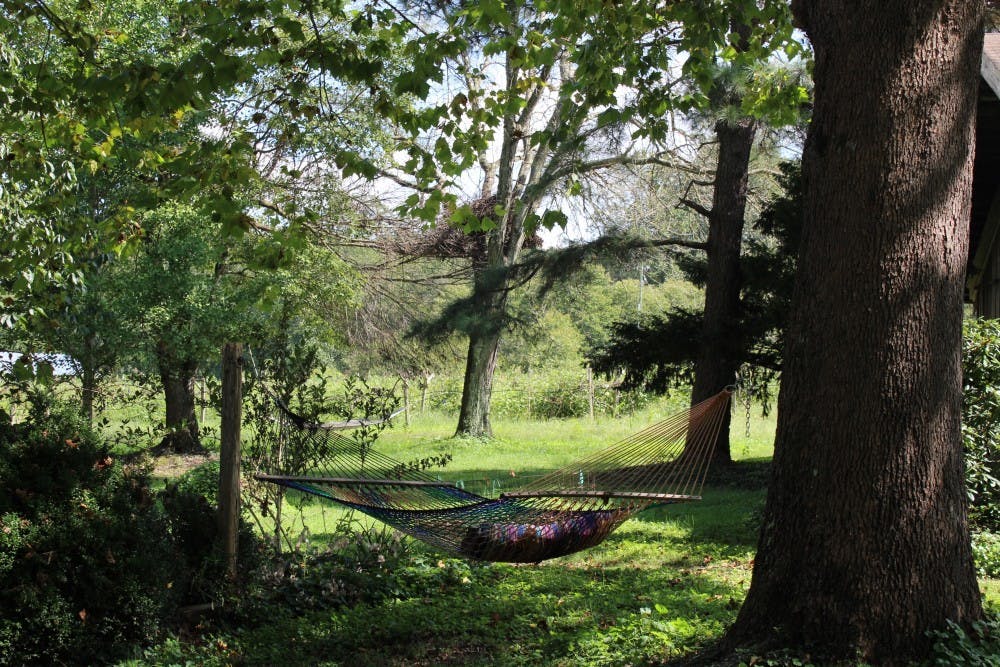 One of the hammocks members at Twin Oaks make and sell.&nbsp;