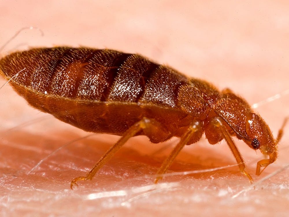 One student was bitten by bed bugs and asked to stay in his room for the night so he didn't spread the bugs.&nbsp;