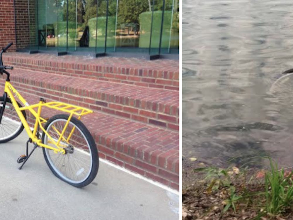 A campus bike with a flat tire (left), and a bike that has been pushed into the lake (right).
