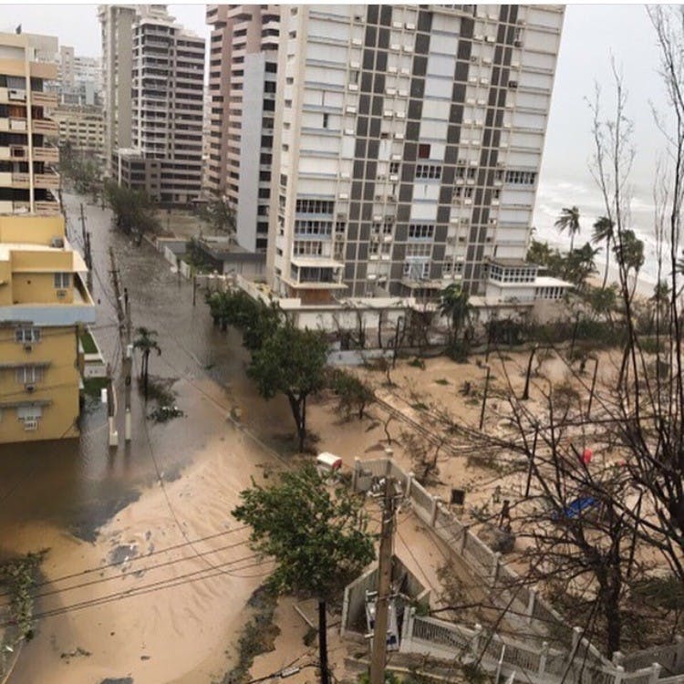 An image of the aftermath of Hurricane Maria in Puerto Rico.&nbsp;Photo courtesy of Sophia Shapiro.