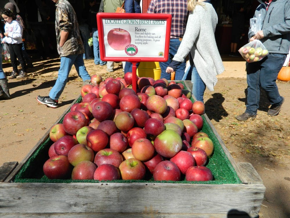Trip to Carter Mountain Orchard