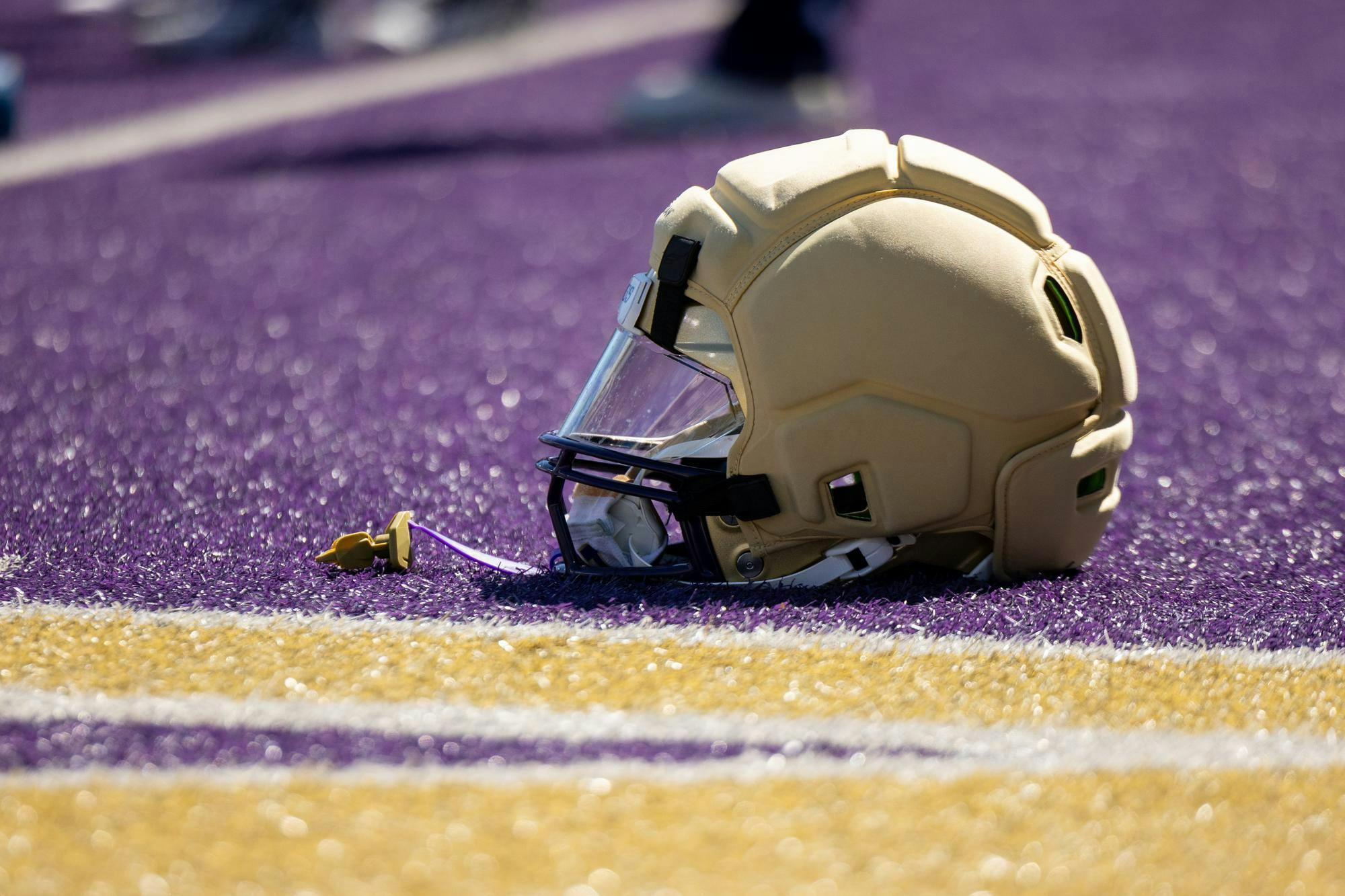 Elise Woodward named UW’s new football play-by-play announcer - The Daily