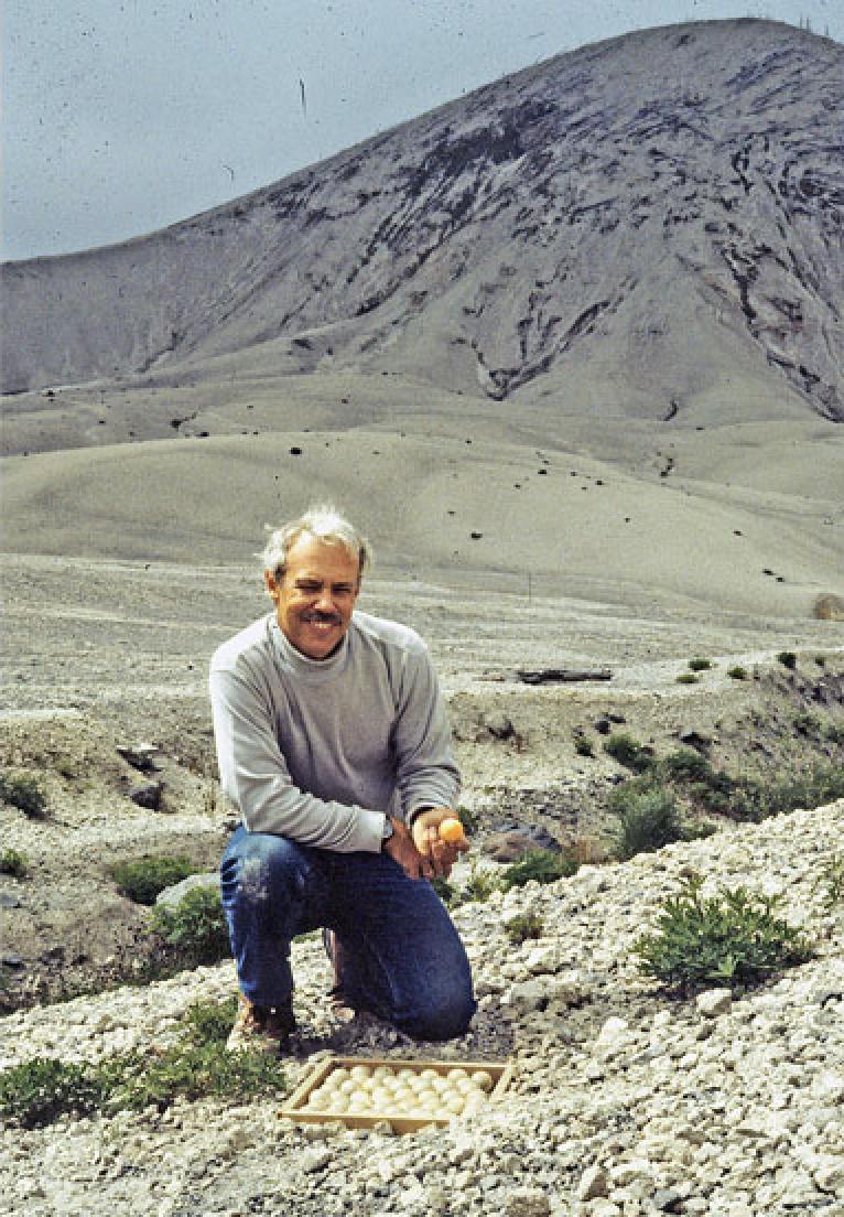 Roger del Moral: Retired UW Professor shapes regrowth in the face of ...