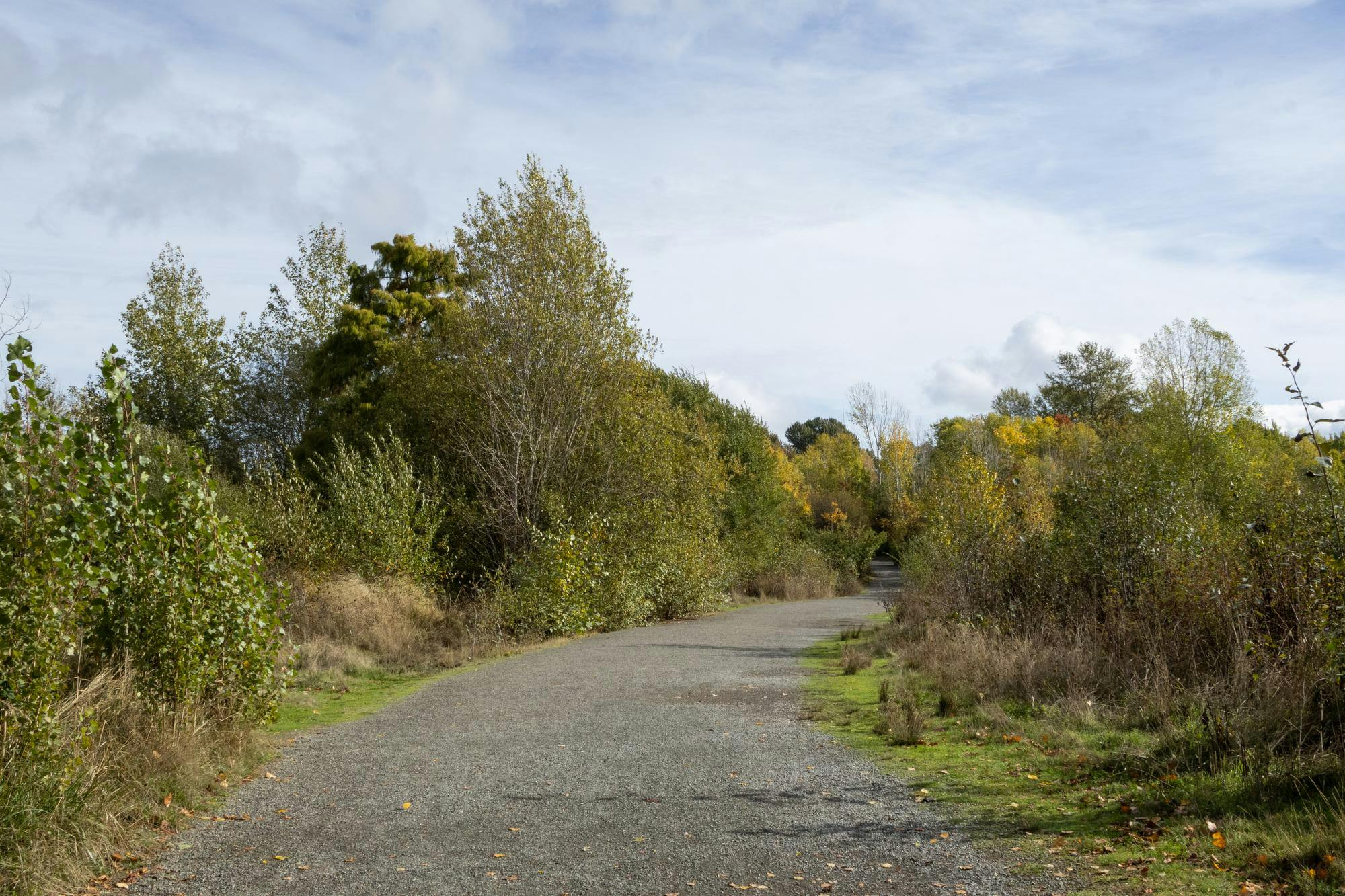 U-District advocates push for expanded access to the Union Bay Natural ...