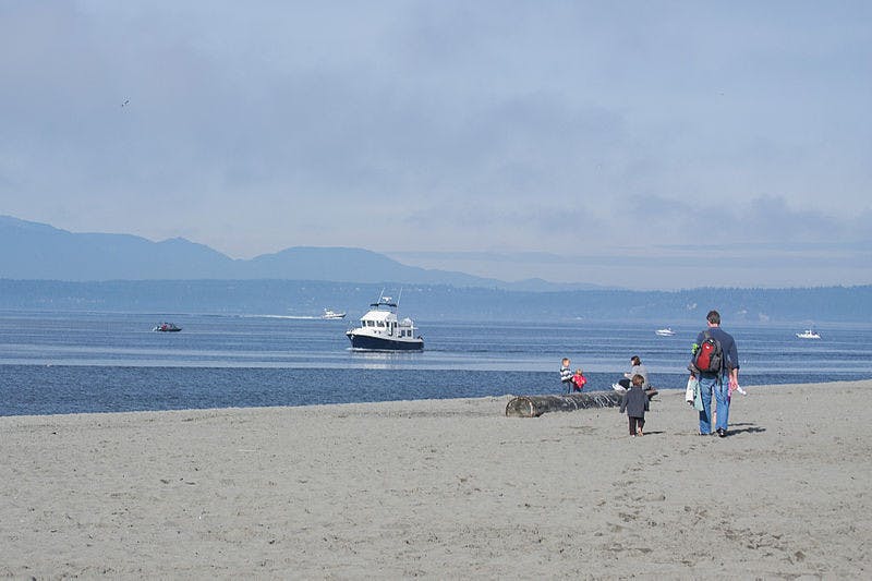 Changing presence of killer whales in the Salish Sea raises questions about behavior