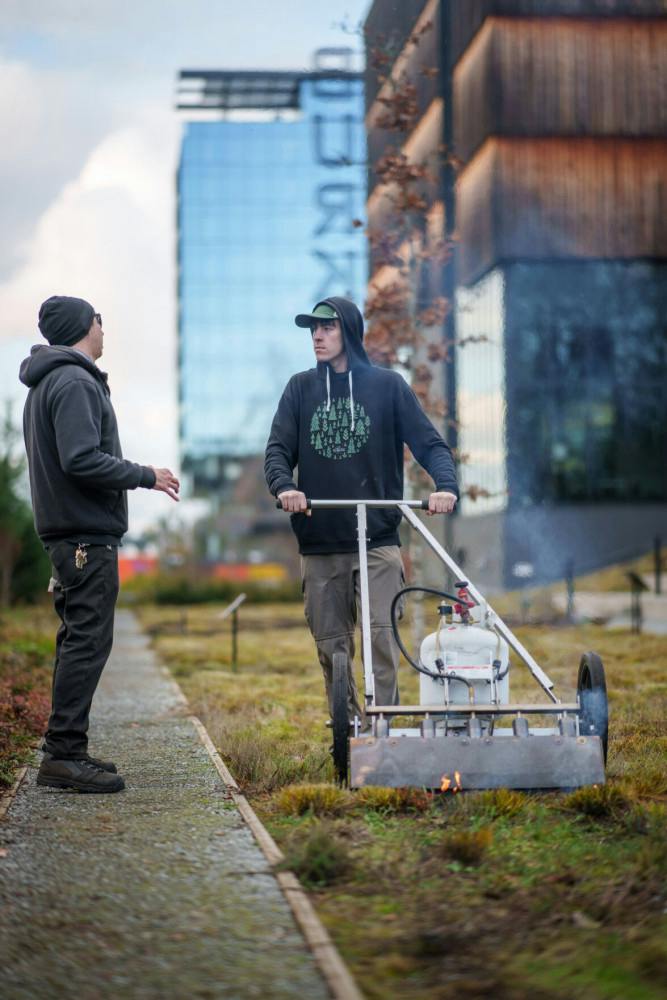 Burke Museum conducts cultural burn on Burke Meadow to promote spring ...