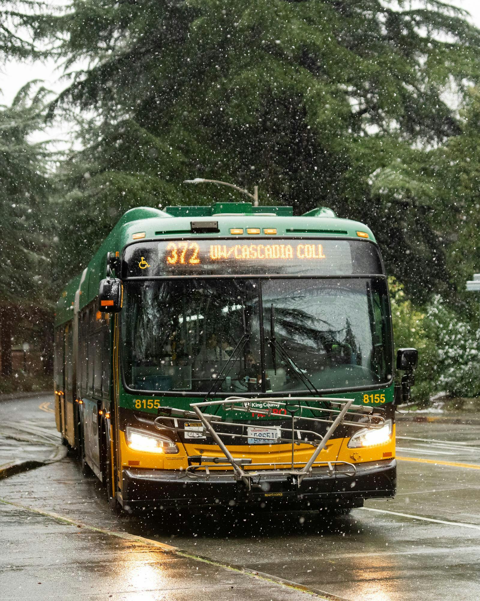 Photo essay: Snow finds its way to UW on the last day of winter quarter ...