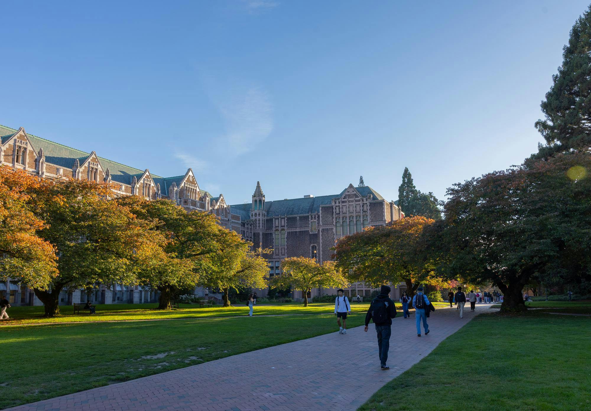 BetterCampus: how a small dorm project became a study tool for over 2 ...