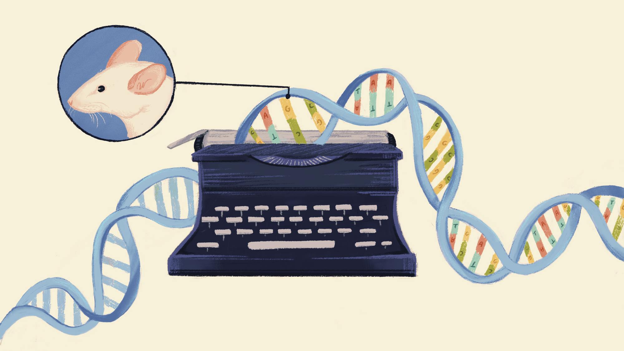 Researchers use DNA Typewriter to record crucial developmental ...