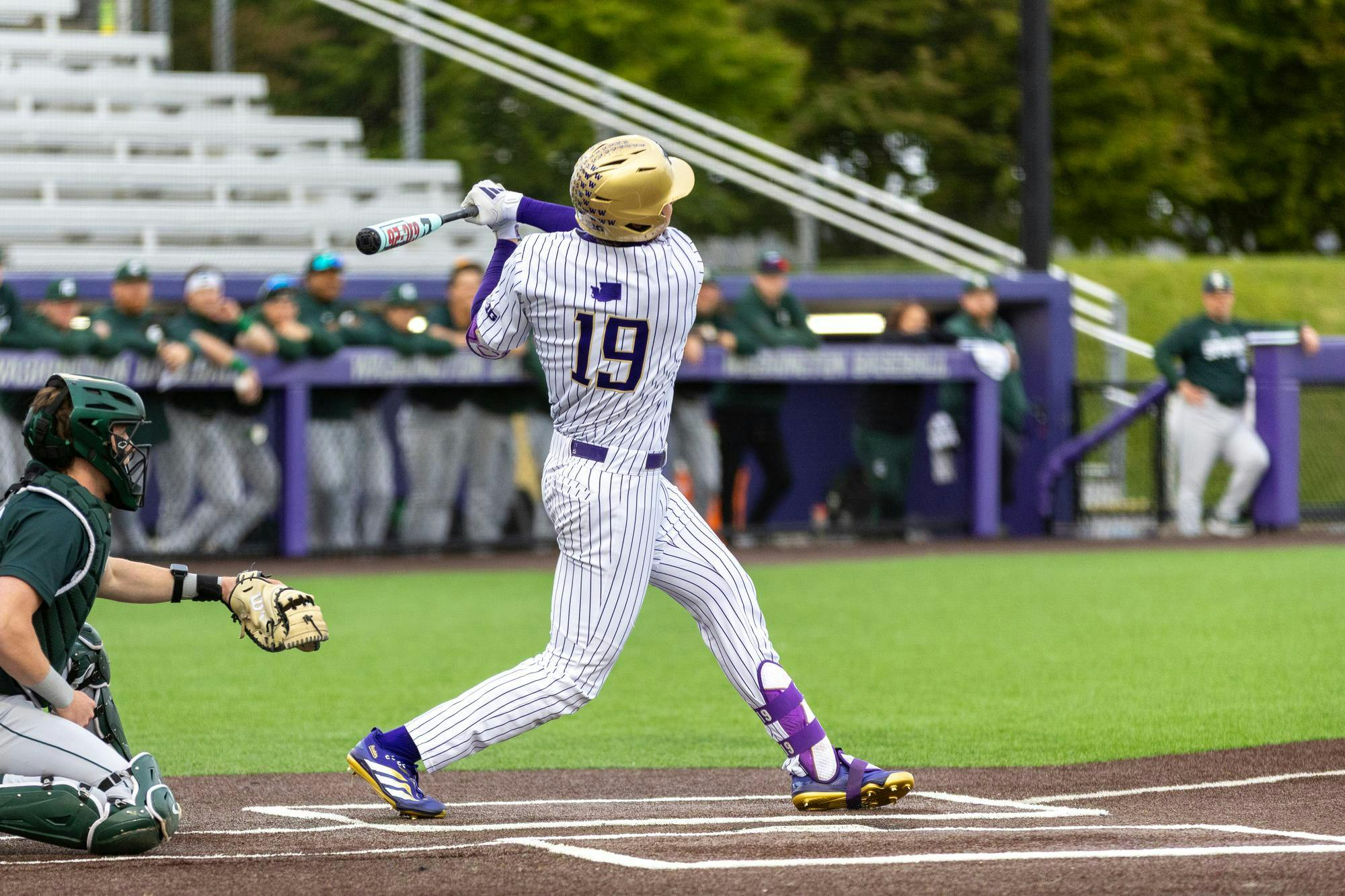 baseball - The Daily