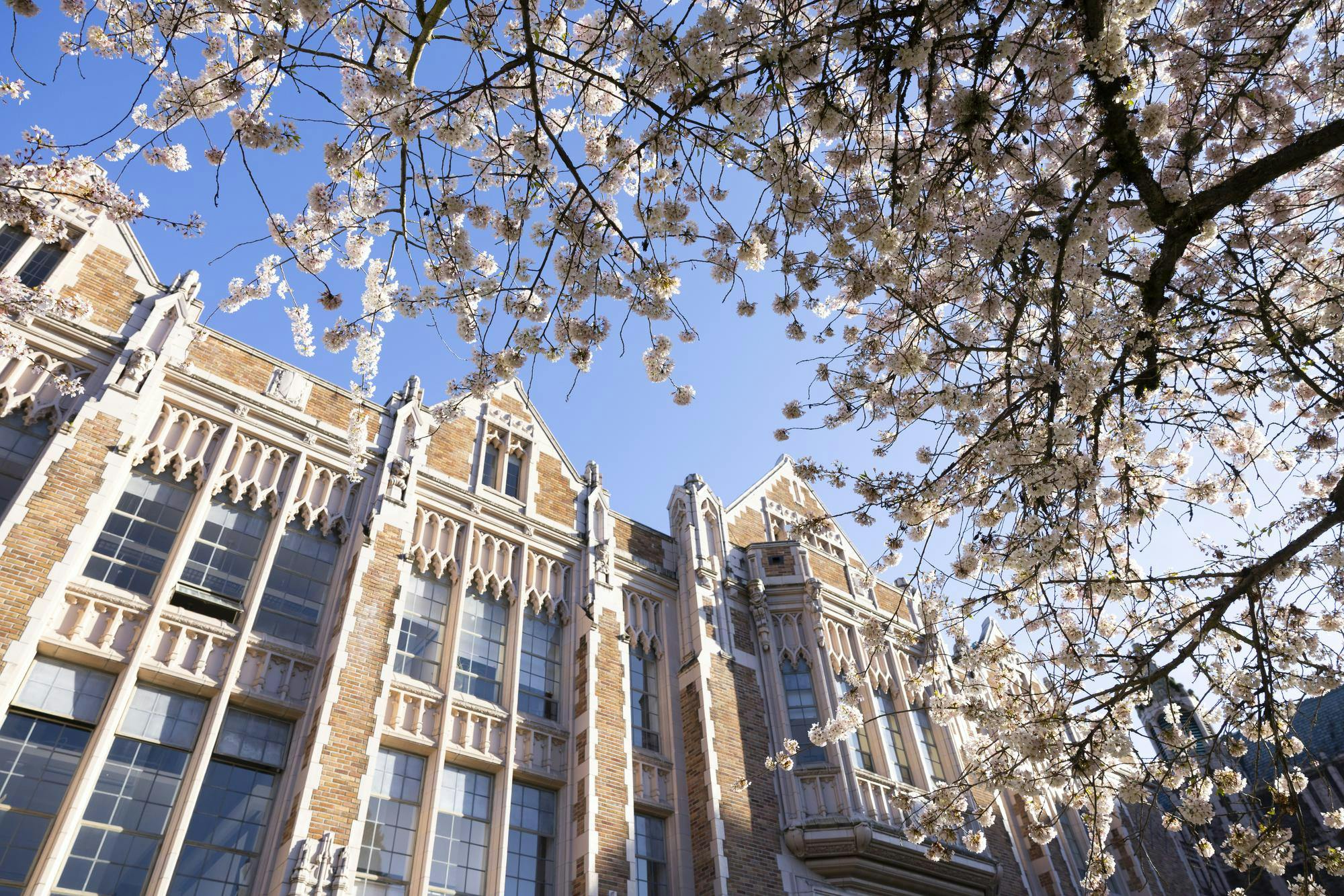 Amid another year of AI debate at UW, researchers quietly made their own discoveries