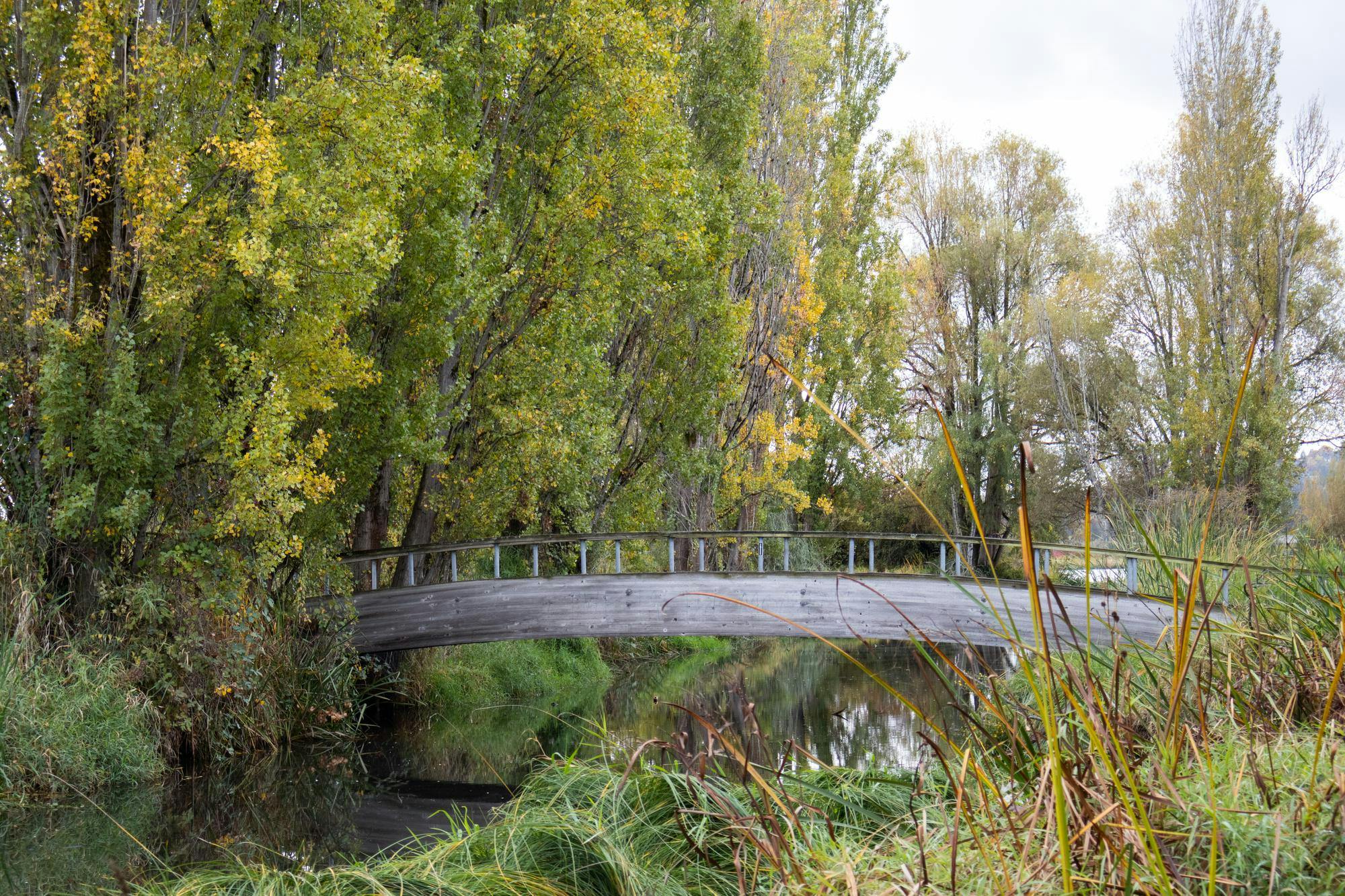 U-District advocates push for expanded access to the Union Bay Natural ...