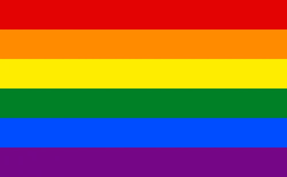 Gay_flag.svg_