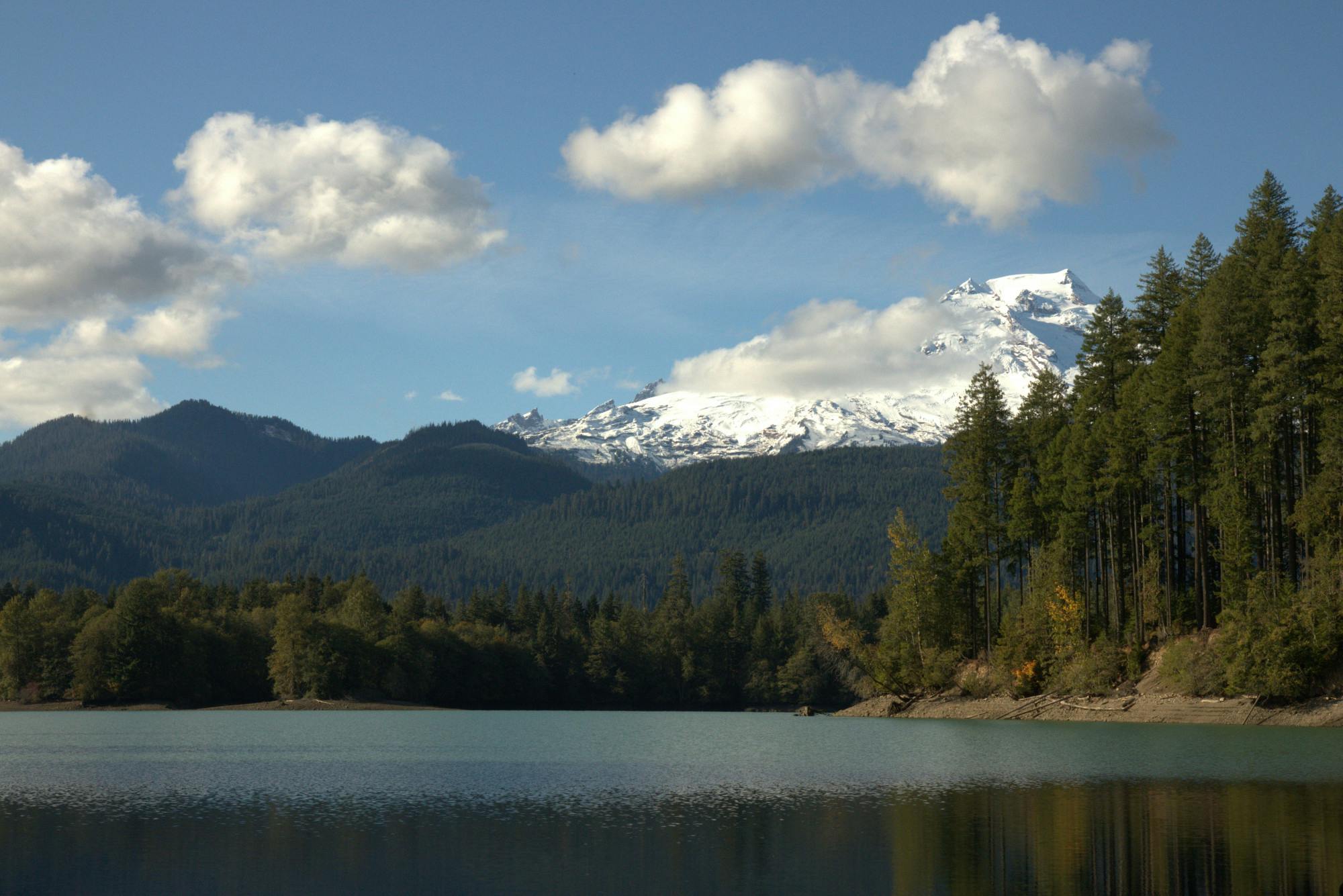 BAKER LAKE OLD GROWTH