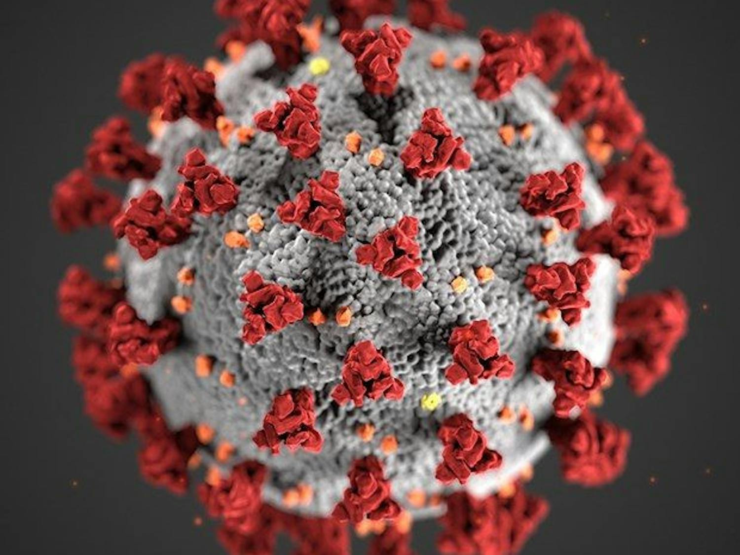 CDC-coronavirus-image-23311-for-web-e1586065589744
