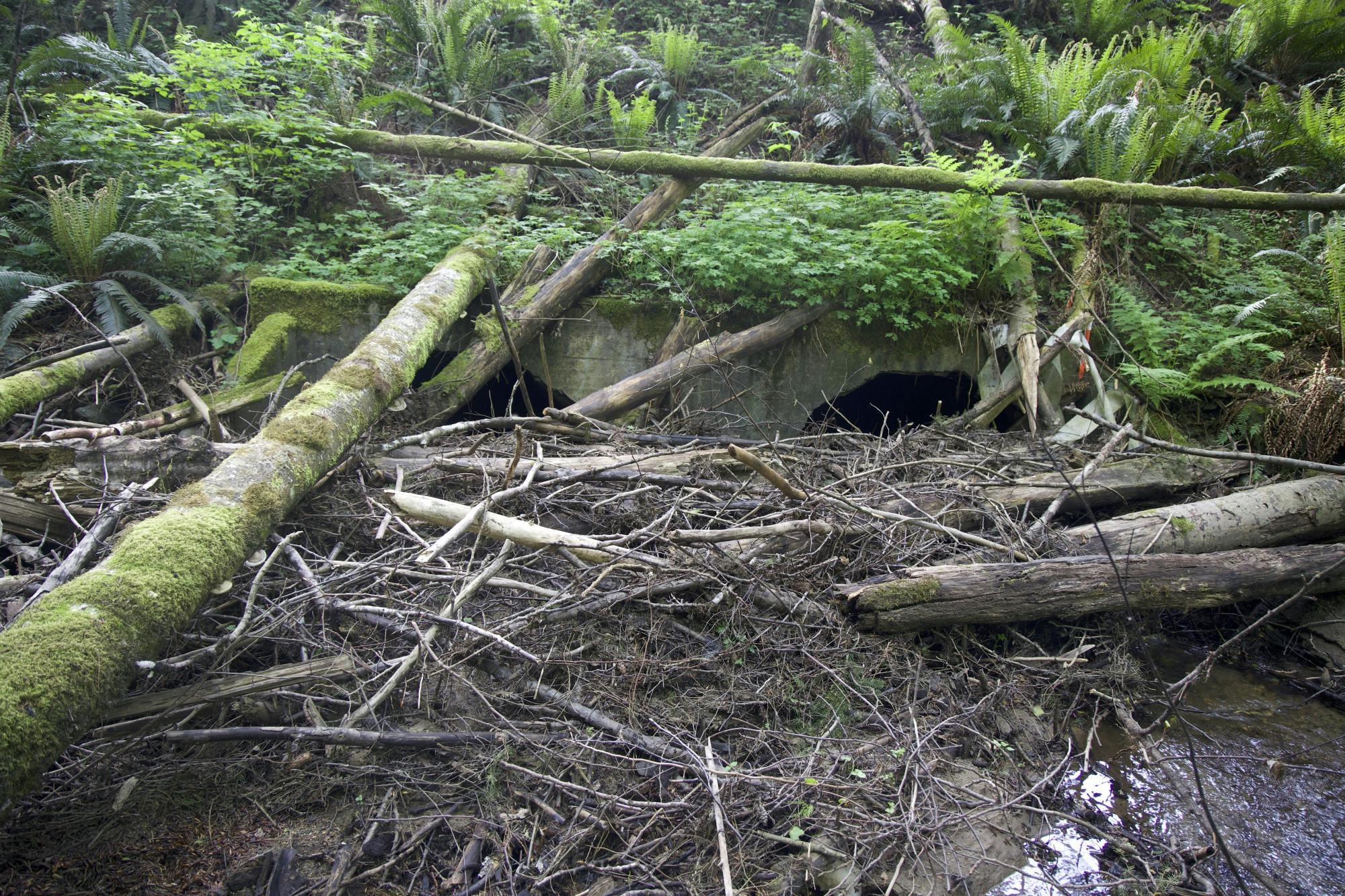 Fish Culvert at Lake Creek  copy.jpg