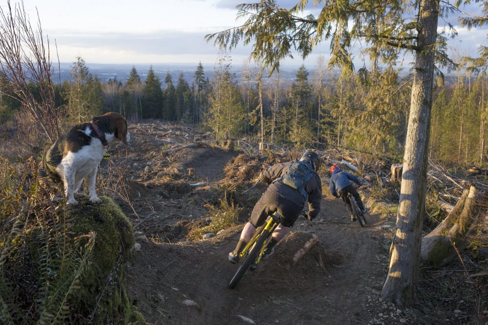 Galbraithonline3-scaled