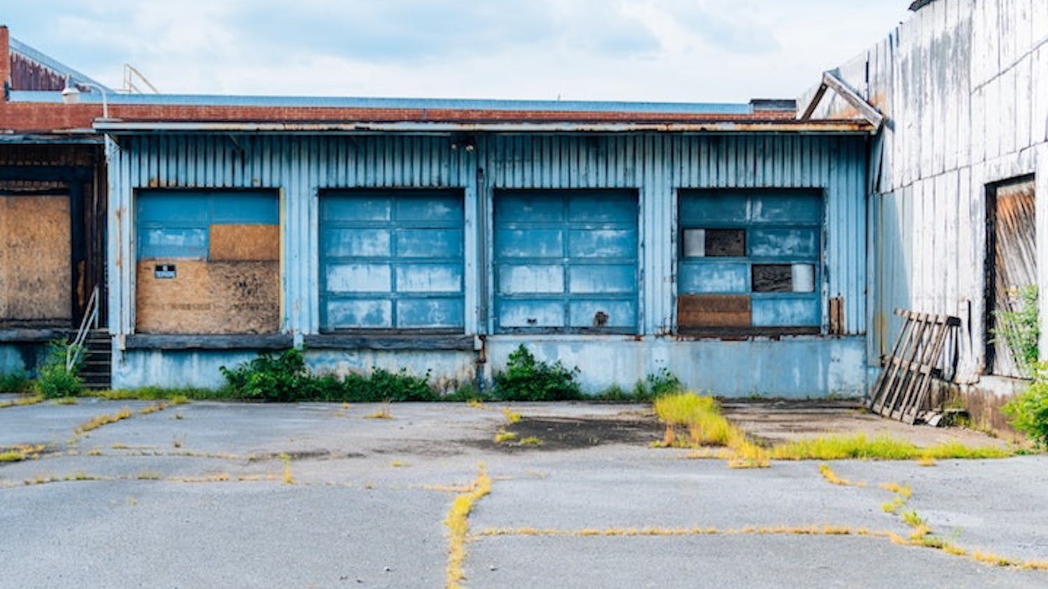 pexels-kelly-lacy-2585535