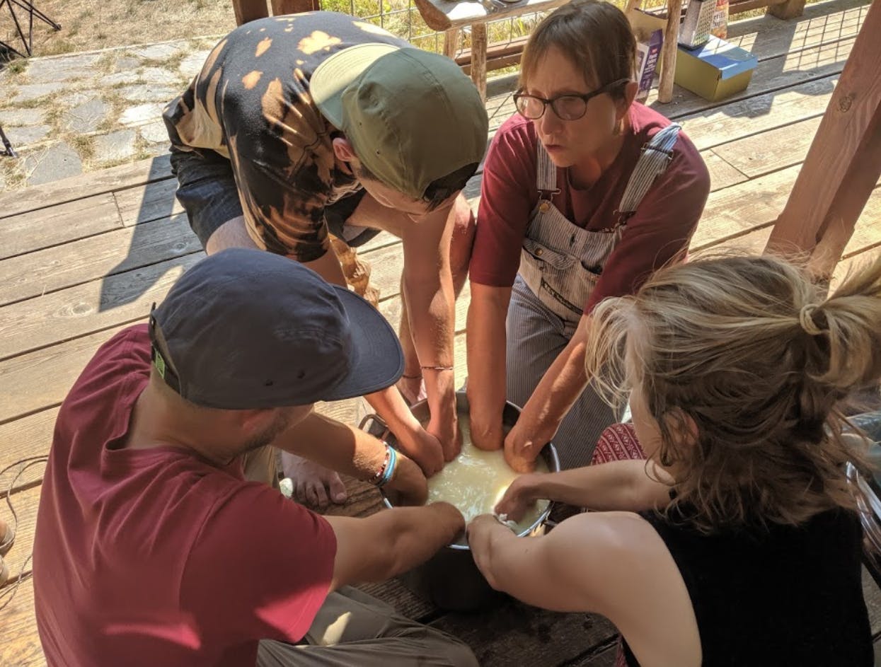 Gigi Berardi Gallery