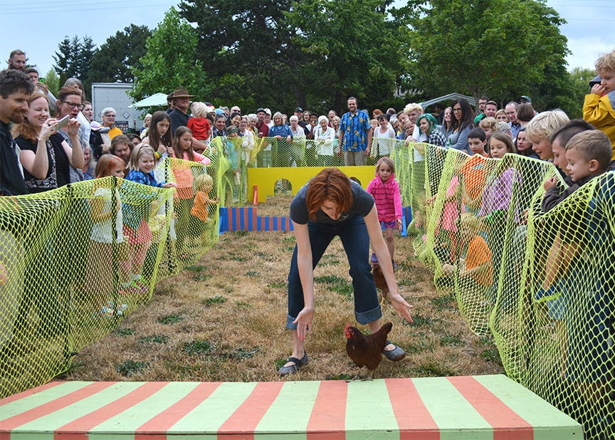 Sunnyland-Stomp-online