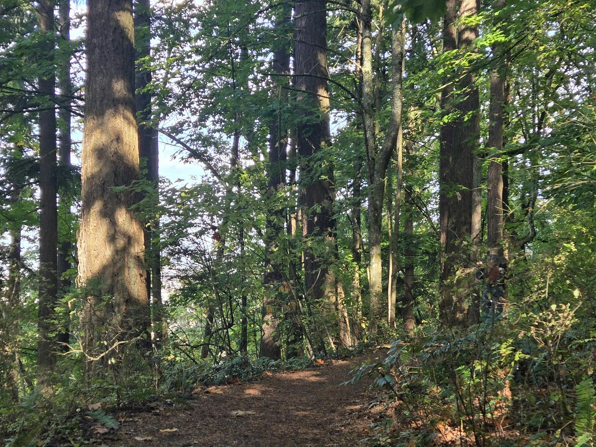 Horizontal Arboretum.jpg