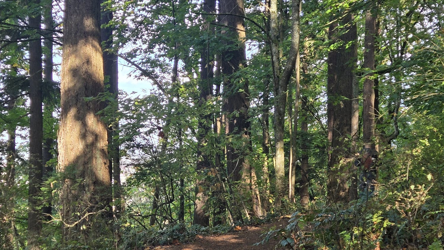 Horizontal Arboretum.jpg