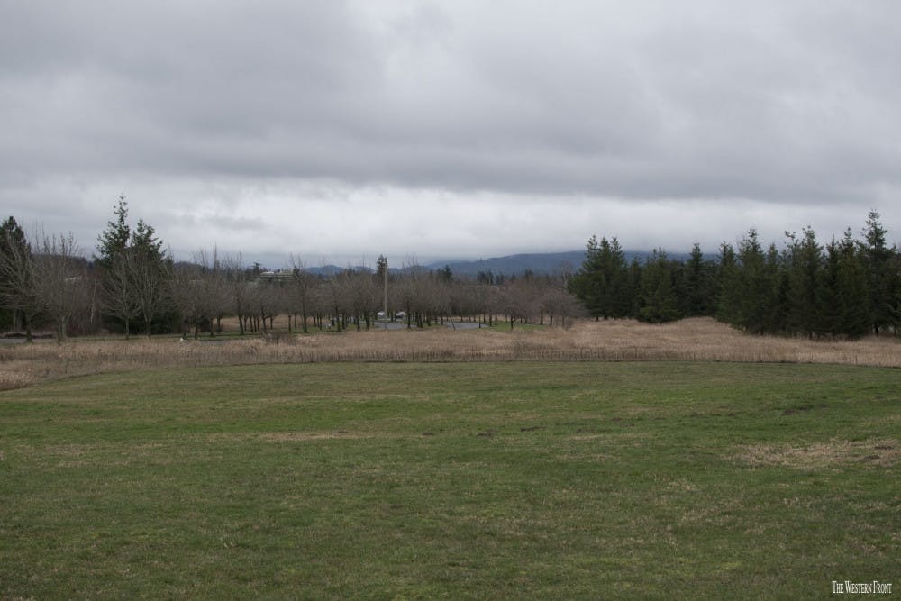 PARK_2018_001-scaled