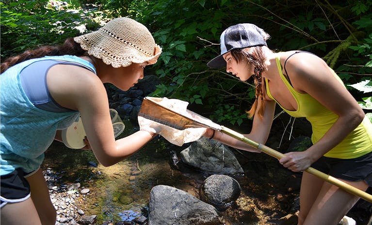 flu-fishing-1-online