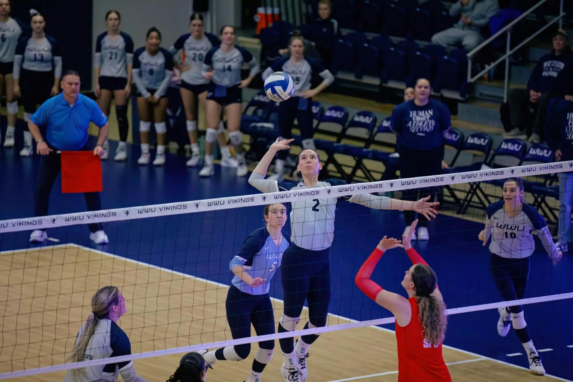 gallery_image (10).jpg