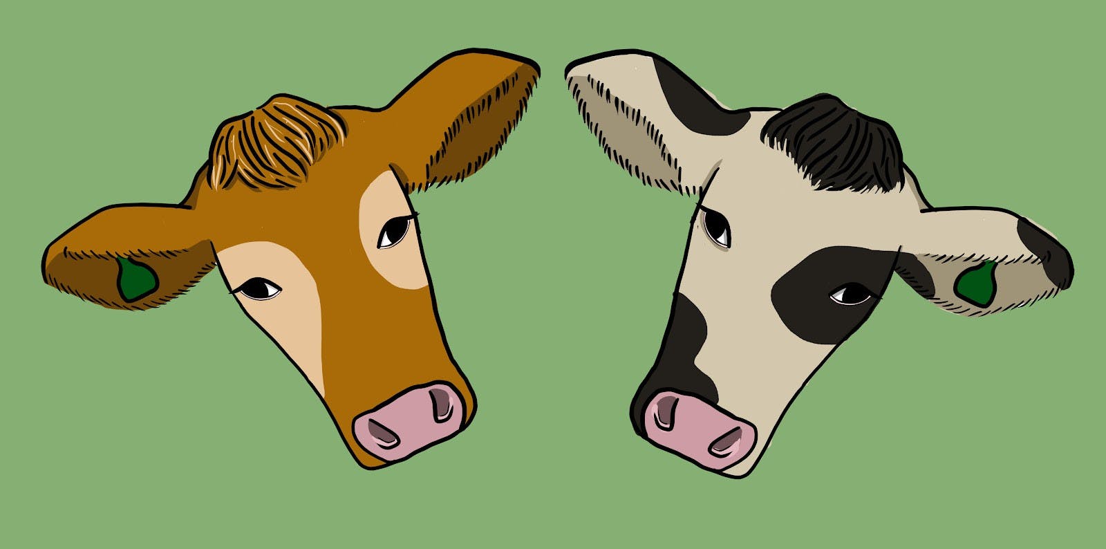 Do you know where your dairy comes from?