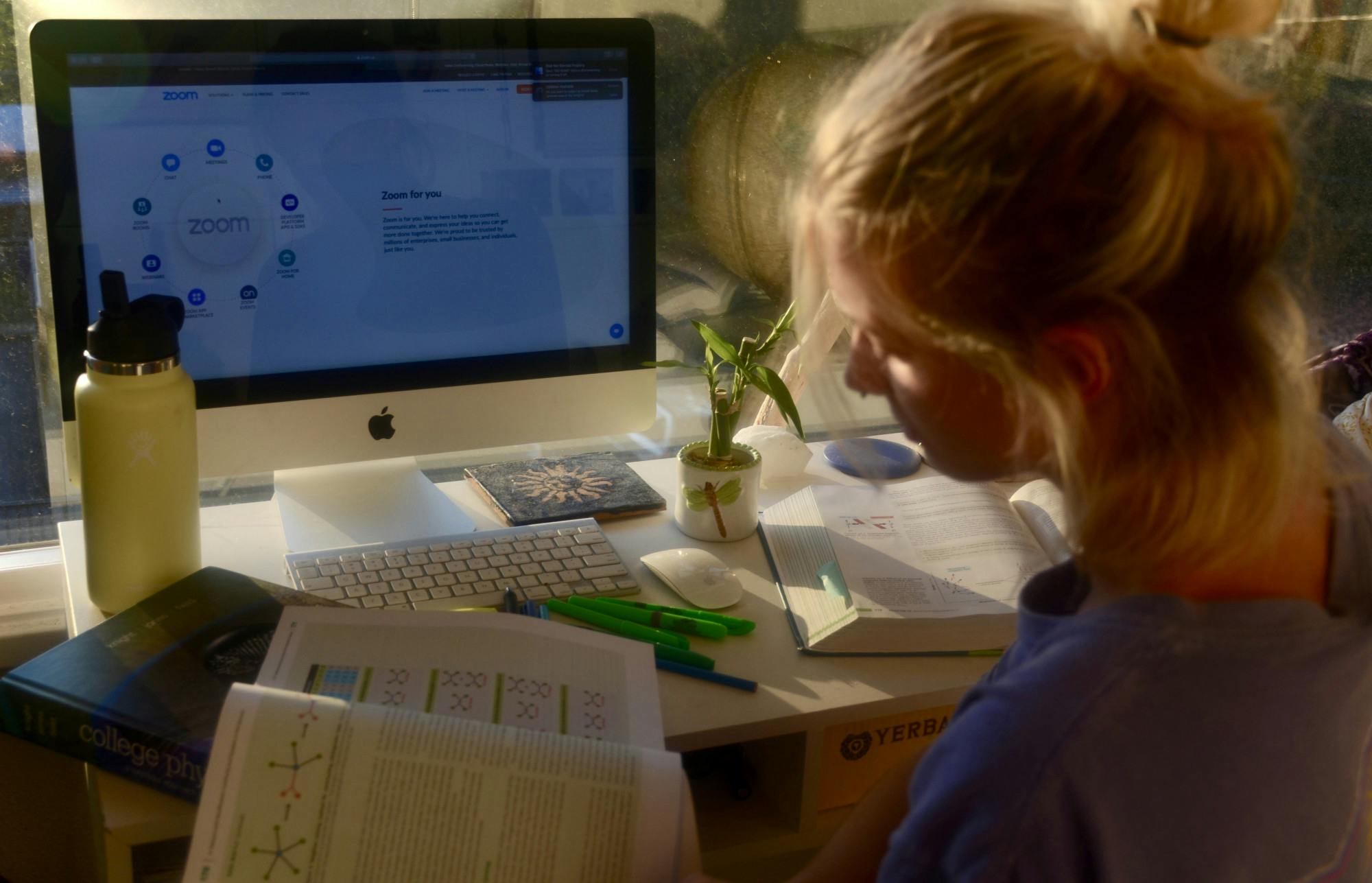 The pandemics impact students mental health.jpeg