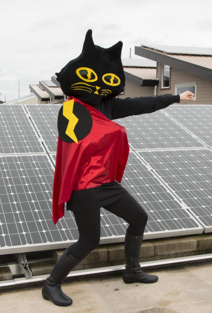 KwKitty-Solar-030816_0204-scaled