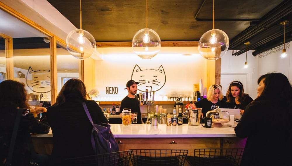 neko-cat-cafe